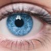 زالو درمانی در امراض چشم