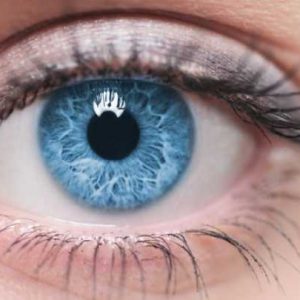 زالو درمانی در امراض چشم