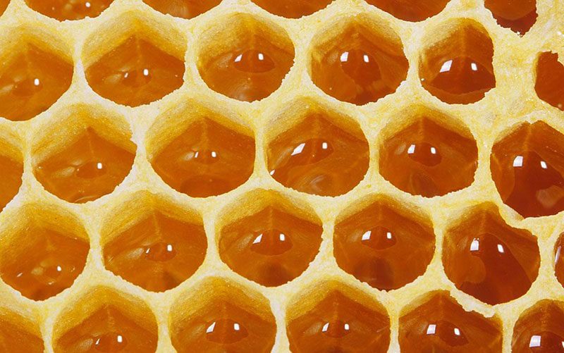 عجایب زنبور عسل در خانه سازی