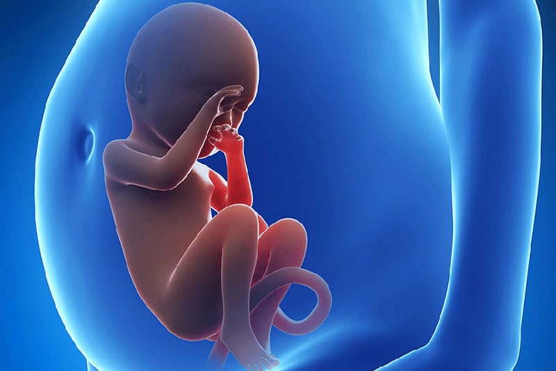 سقط جنین-2