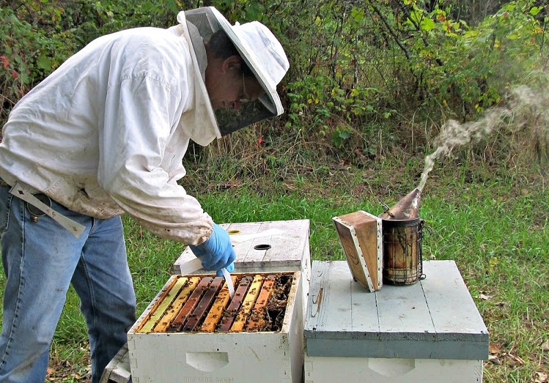 17- اهمیت داشتن داروخانه توسط زنبوردار