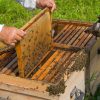 وسایل پرورش زنبورعسل