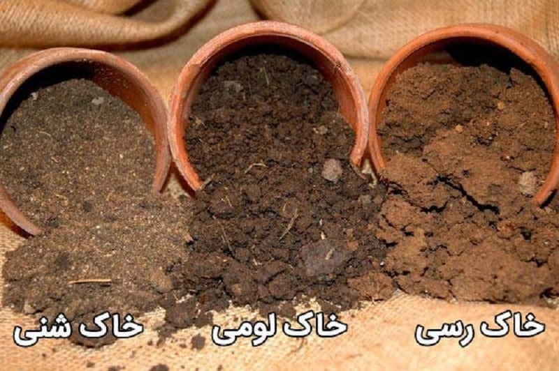 انواع خاک کاربردی در مزارع زعفران