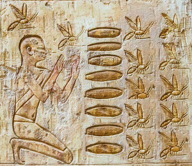 تاریخچه بره موم در مصر