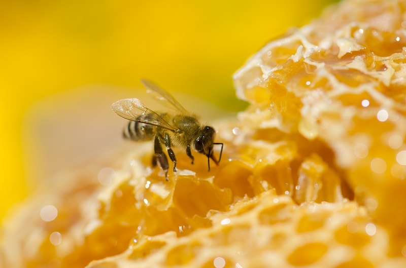 مواد معدنی عسل