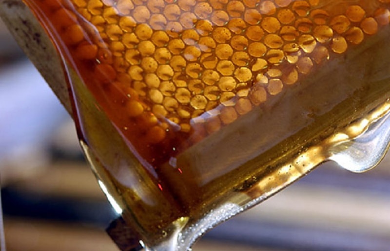 6- اهمیت قوی نگهداشتن کلنی های زنبور عسل