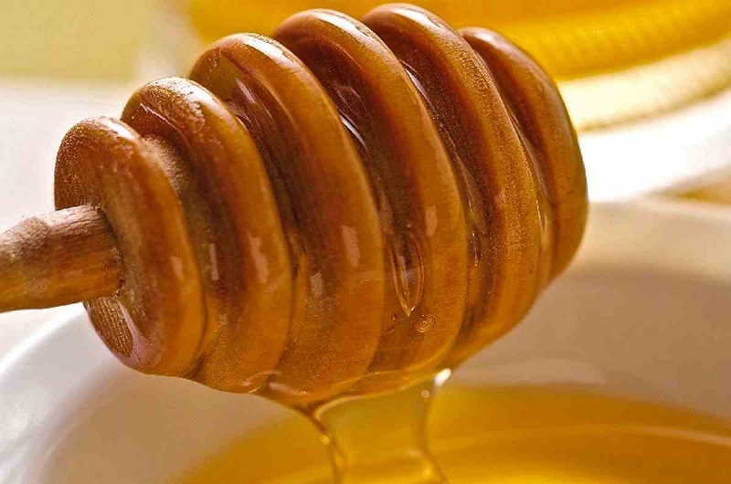 21- اهمیت تغذیه به موقع کلنی ها در پرورش زنبورعسل