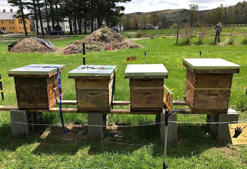 ۱۵- مکان زنبورستان در رابطه با سمپاشی باغ ها و مزارع 