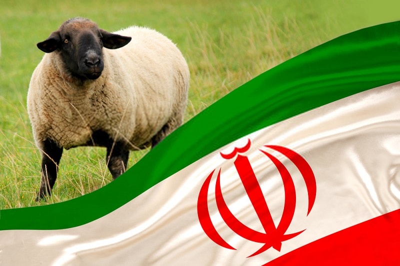 کشاورزی ارگانیک در جهان- ایران