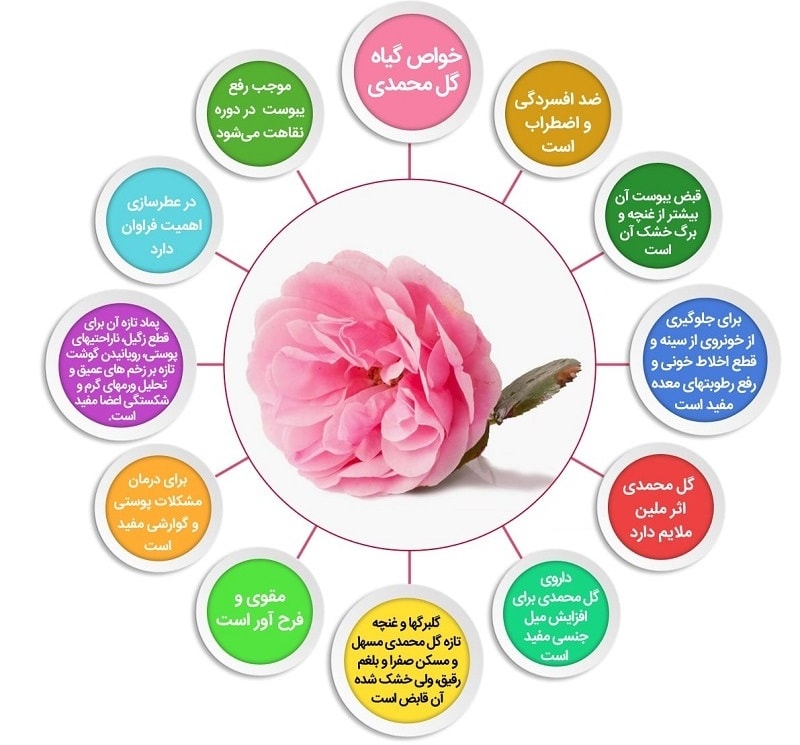 خواص درمانی گل محمدی