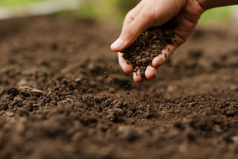 اهمیت خاک و خاکورزی در زراعت ارگانیک