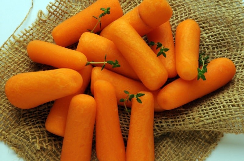 گیاه هویج از تیره جعفری