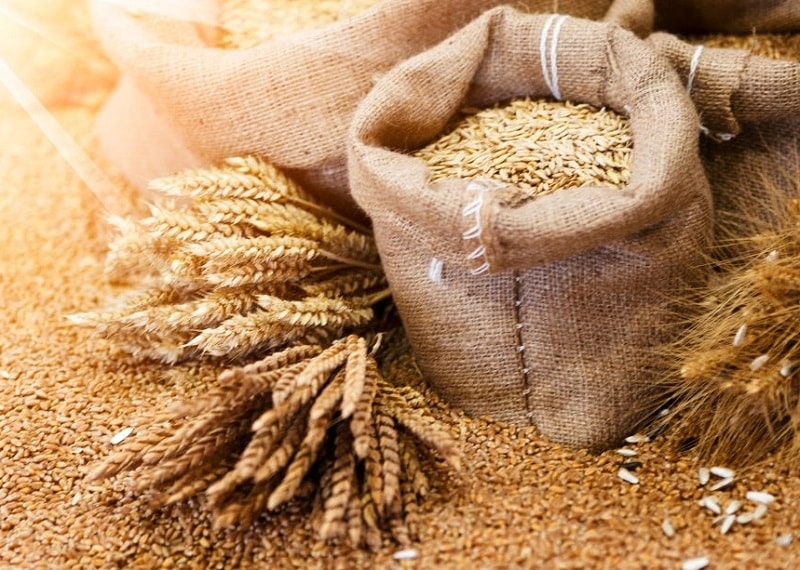 تقسیم گندم ها از نظر صفات فیزیکی و مشخصات آرد حاصل