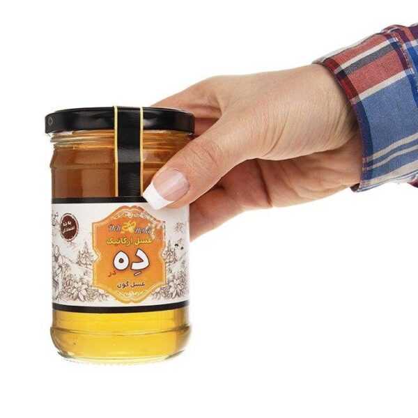 عسل گون ارگانیک 360 گرم ده در