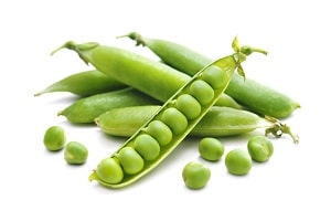 لوبیا سبز ارگانیک