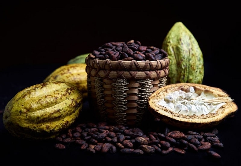 انواع ترکیبات مهم تئوبرومین موجود در پوست دانه کاکائو