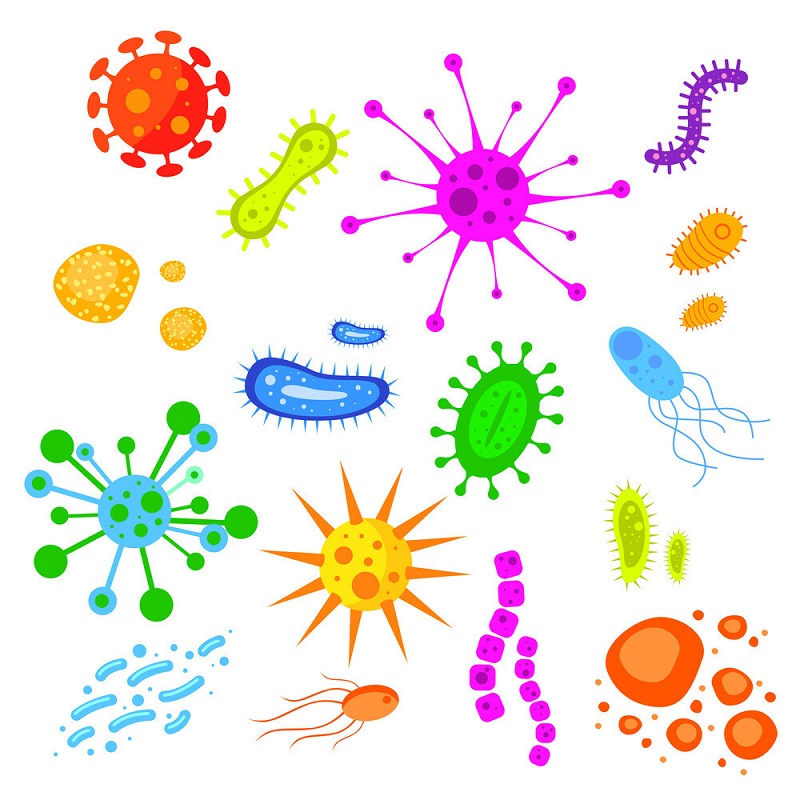 اثرات ضد باکتری‌ها و قارچ‌ها و کپک‌ها و انگل‌ها