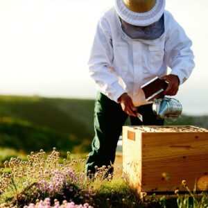 مزایا و منافع زنبورداری