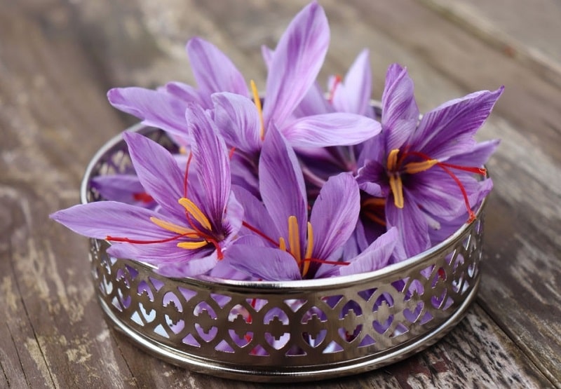 گیاه شناسی زعفران - نام زعفران (Crocus sativus L) 