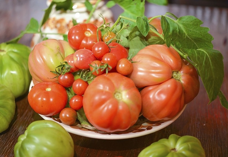 انواع مختلف گوجه فرنگی و مصارف آن ها