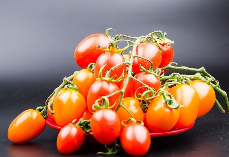 استخراج سولانین از گیاهان مختلف گوجه فرنگی