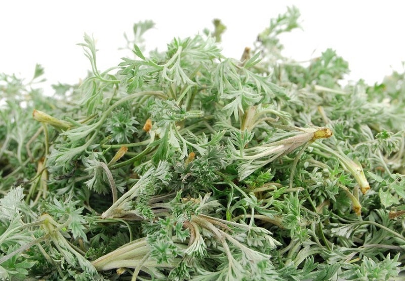 خواص درمانی Artemisia herba